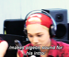 blondejongin:  kai’s animal intro on Younha Starry Night  