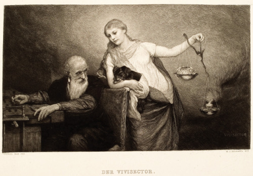 Gabriel Max (1840-1915), ‘Der Vivisector’, “Die Graphischen Künste”, 1886-87