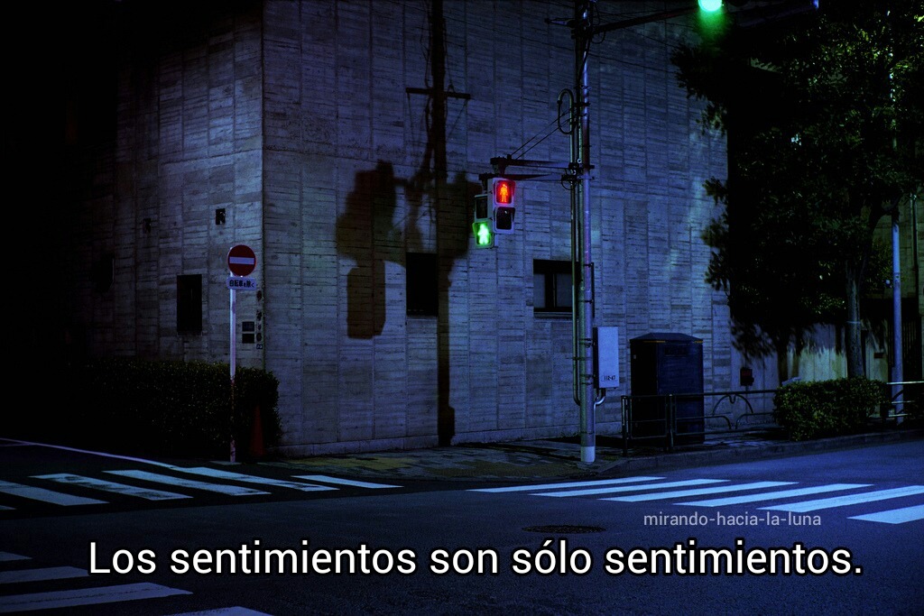NEVER STOP DREAMING...