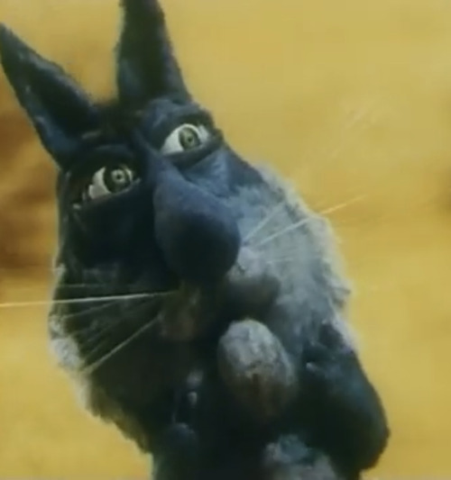 I Believe In Blue Cats Supremacy