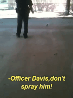 beyonceprivilege:  dontshootus:  COP PEPPER SPRAYING A BABY SQUIRREL SHOCKS EVERYONE AROUND   even an innocent Baby Squirrel is not safe when cops are around!  This is fucking wild   It’s almost funny how other white people will freak out about this