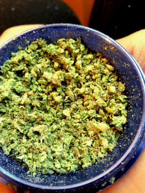 stonerthings:  👅