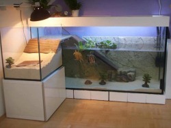 theexoticvet:  This is one of the best aquatic turtle enclosures I have ever seen. While it seems over the top, everything present is necessary for happy, healthy turtles. At least 100 gallons of water, filter, heater, basking lamp, UV light, haul out