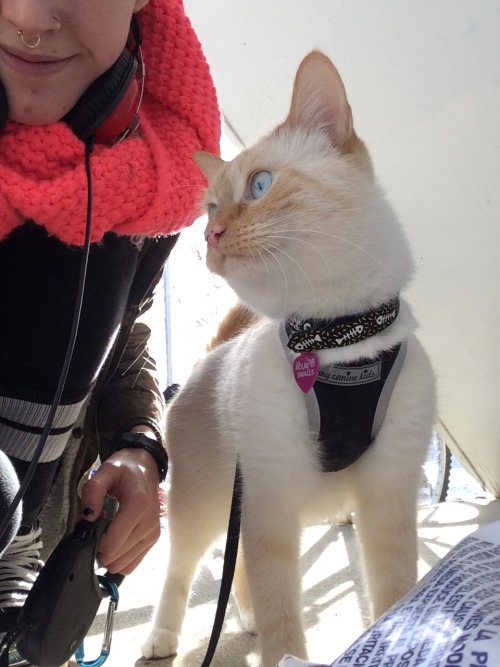 oureffortwasadmirable:first walk of 2015!!! today is in the high 30’s, and the bedroom window 