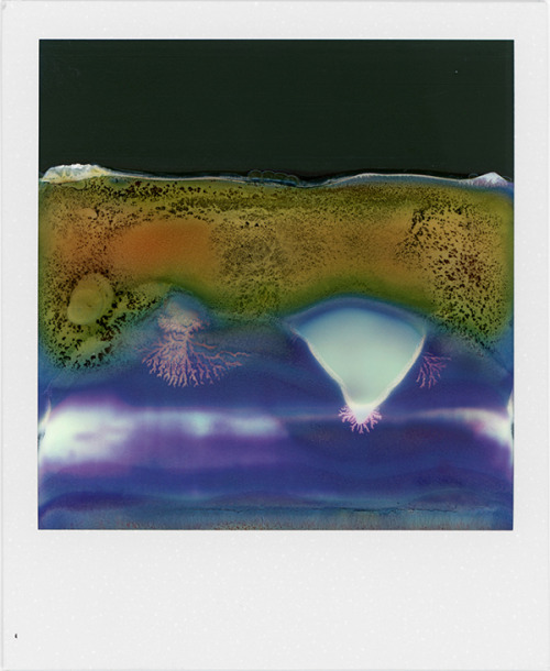 nevver:  Polaroids, William Miller