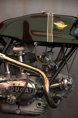 habermannandsons:  Duc of the Day 