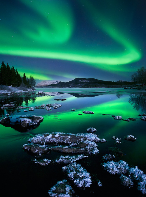 ladylandscape:(via 500px / A Night To Remember by Arild Heitmann)