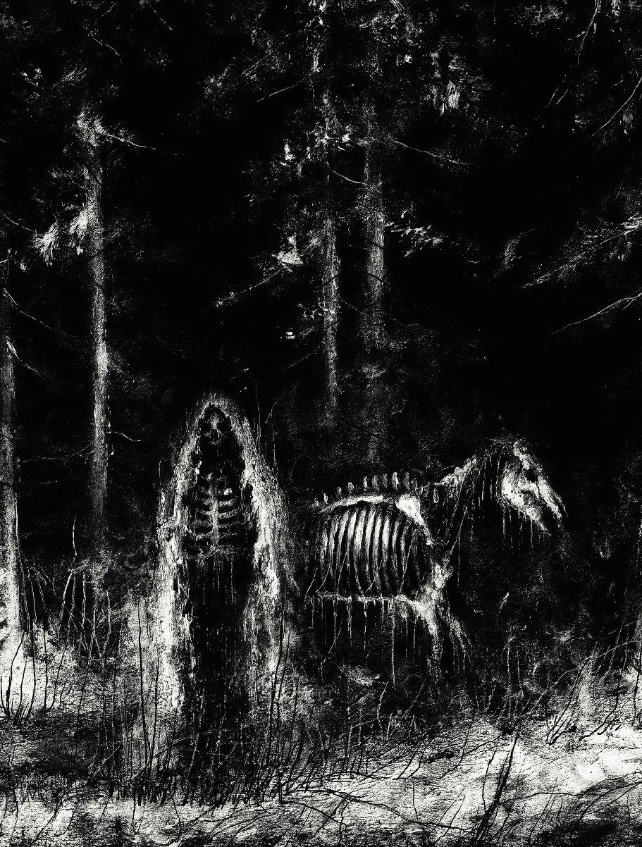 Into the Unknown