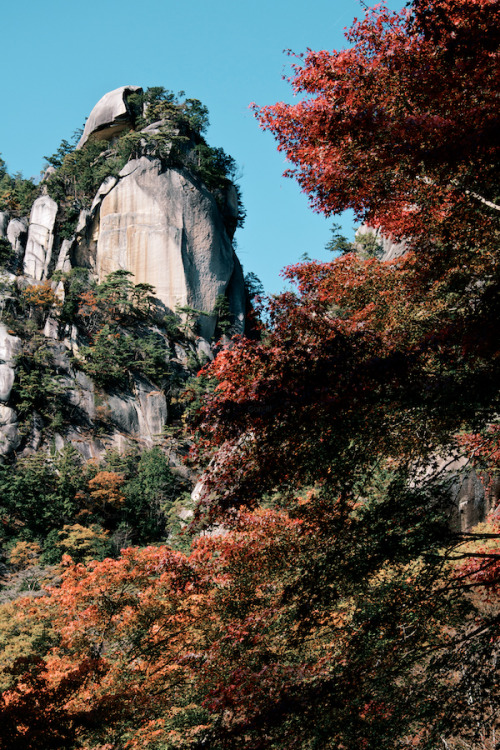 紅葉の覚円峰 2011年、昇仙峡の覚円峰。 昇仙峡と言えばこの覚円峰。昇仙峡口からの遊歩道遊歩道は舗装されてて歩きやすい。 帰りに甲府駅で信玄餅を買って会社で配った。誰かがキーボードの上にぶちまけるのを期待したけど、そう言う人はいなかった。無念w。