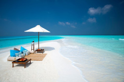 luxuryon:  Boutique island resort in the Maldives