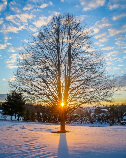 After the Blizzard - Maryland 2016