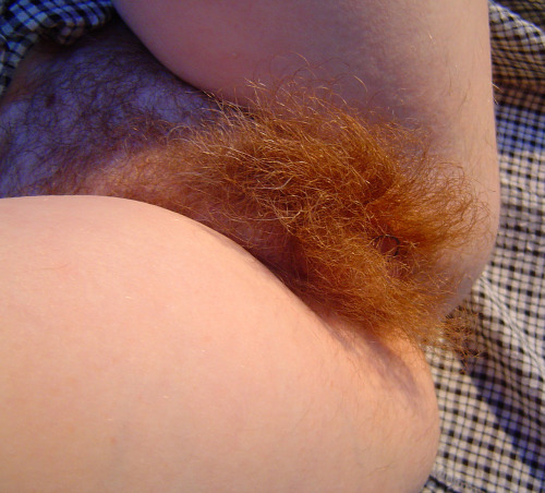 bigkuky:  Mmm…beautiful  red bush😍😛😘