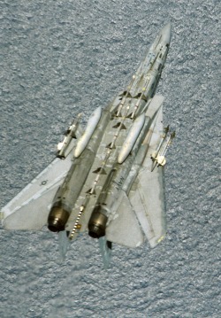 31262:  VF-24  Fighting Renegades F-14A (Source) 