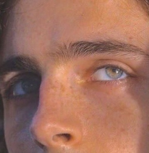 Eyes Of Timothée Chalamet