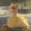 a-friend-named-jay