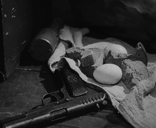 myfilmsbox:Ivan’s Childhood (1962) dir. Andrey Tarkovsky 