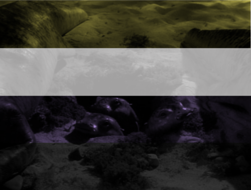 get-the-cheese-to-sickbay:Some Threshold pride edits for y’all! Happy Threshold day!! Fell free to u