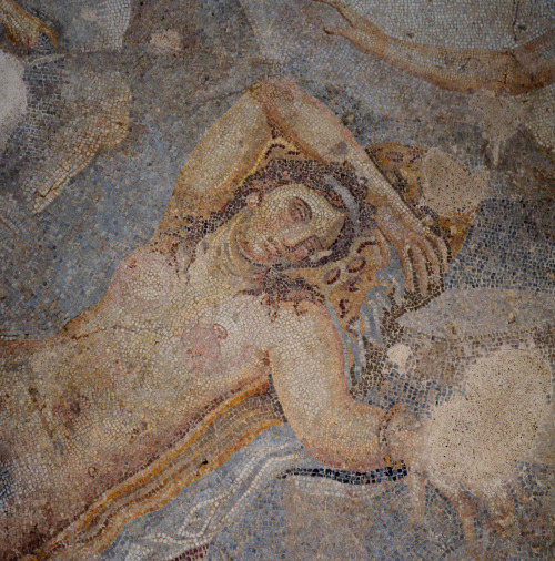 greek-museums: Archaeological Museum of Thessaloniki: Ariadne resting at Naxos. This mosaic is the c