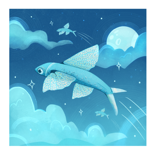 Day 4: Fish | Flying Fish