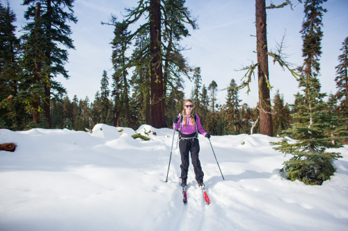 Holiday Adventure: Yosemite, Cross Country Skiing My wife and I took cross country ski lessons in Yo