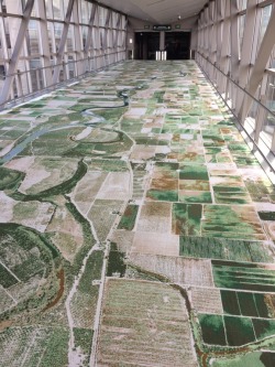 diary-of-a-chinese-kid:This carpet is based on aerial photographs