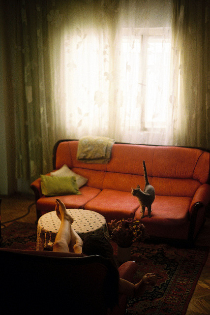 arcanja:  sans titre by Marija Strajnic on Flickr. 