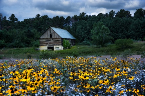 Sex atraversso:  Fall Beauty  by Lee Bodson  pictures