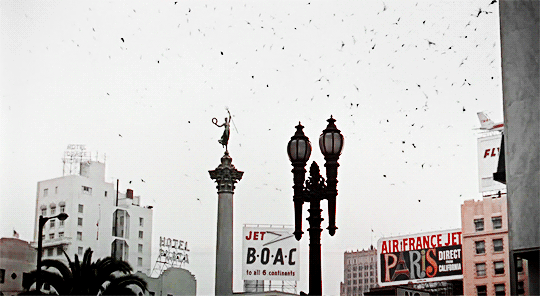 horroredits:Alfred Hitchcock’s The Birds (1963)
