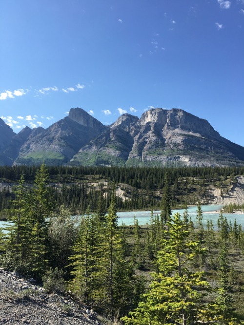 seasonsofserendipity:  Banff National Park,