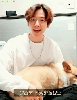baekhyuntella:two puppies in one frame