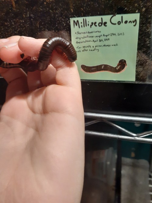 Looking At The Label I Made For The Enclosure