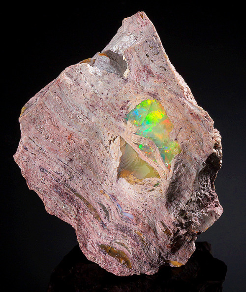 mineralists:Fire Opal in Rhyolitic matrixCarbonera Mine, Mexico