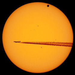 dicknails:  wzu:  Venus, the sun, and an airplane.   it looks like a microscope slide at first  