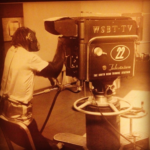 Favorite pic from the WSBT archives on display.