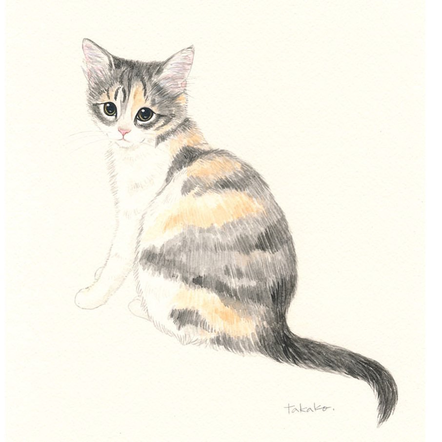 Takako Ide Illustration ふりむき子猫 本日の猫 子猫 三毛猫 パステル三毛 猫イラスト 水彩画 猫