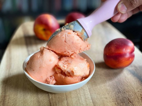 Nectarine Sorbet — Cooks Without Borders