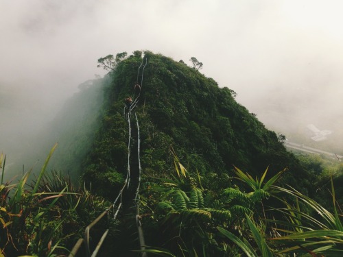 surfhawaii:  want to do this again