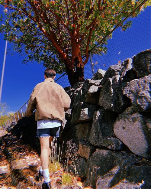 Look At My Shorty In Shorts
