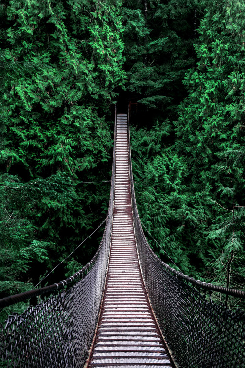 brianstowell:  Lynn Canyon Suspension Bridge, Vancouver, BC, Canada