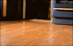 mythingsddjj:  Stamped of cuteness in 3…2…..1 Charge 