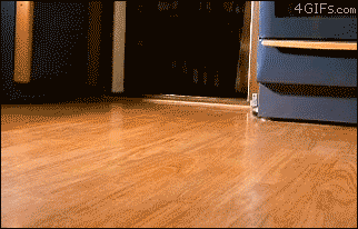 mythingsddjj:  Stamped of cuteness in 3…2…..1 Charge 