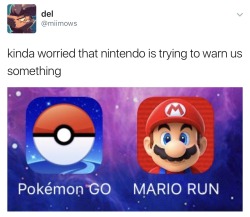 tiger-thoughts-and-things:  werewolfviking:  artemuscain-gamingandbs:  catwithbenefits: Animal Crossing GET OUT Legend of Zelda GET A FAKE IDENTITY  Donkey Kong IT’S BEHIND YOU   Kirby WE WARNED YOU 