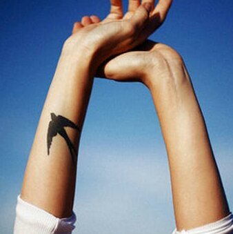 Pinterest | Colby brock, Tattoos, Medusa tattoo