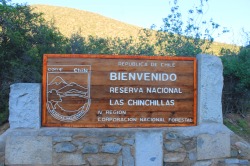 kusta-astronaut:  Reserva Nacional Las Chinchillas,