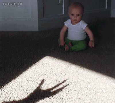 damnfunnylol:  Oh, no!