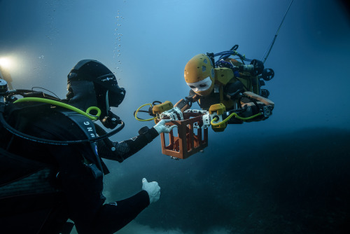 OceanOne Humanoid Diving Robot Artificial Intelligence Lab, Stanford University, Californiaimage cre