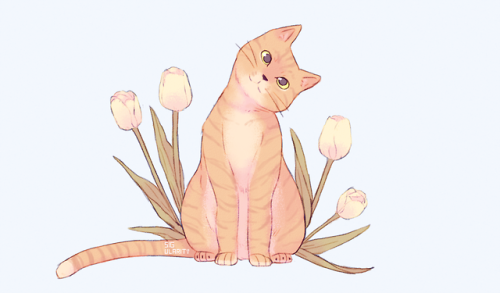 sig-ularity: Some cute cats with flowers that I did for practice.