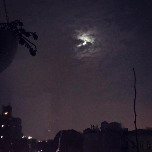 My witchy heart will never get enough of seeing the moon rise out our window.. . . #moon #bedroomv