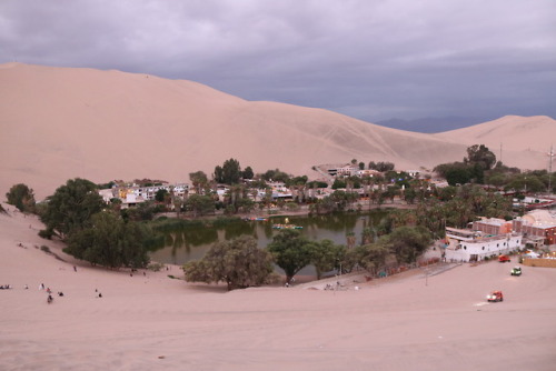 Huacachina (waka-cheena)One of the most surreal destinations on our trip brought us to this real lif