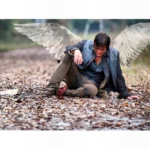 Angel @bigbaldhead #normanreedus #daryldixon #badass #angel #thewalkingdead